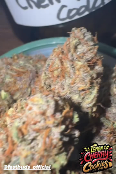 Lemon Cherry Cookies Auto - Frosty Dried Bud Close Up
