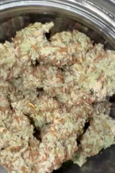 Z-Up Auto - Dense Frosty Dried Buds Close Up