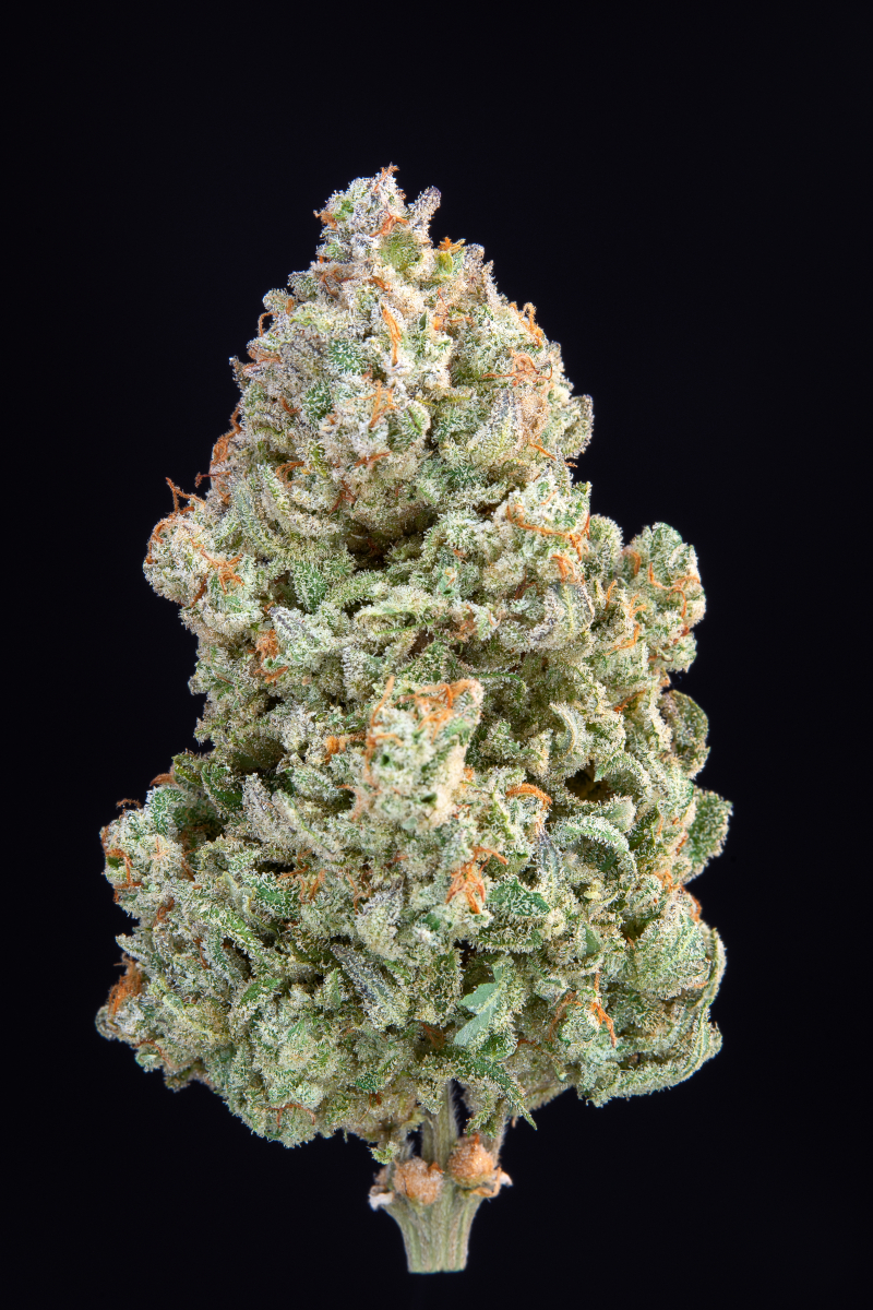 Photo of Afghan Kush Auto