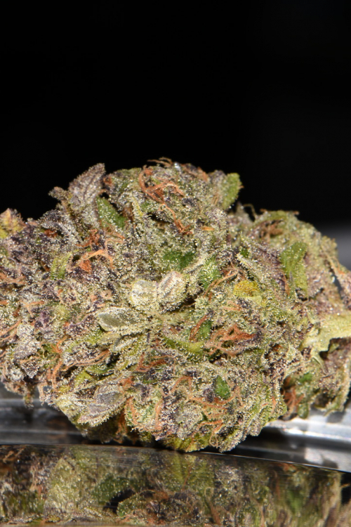 Smoothie Auto