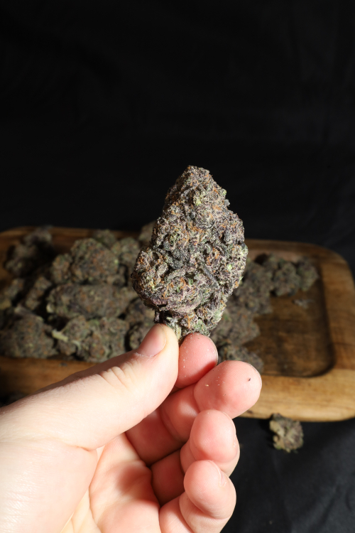 Lemon Cherry Runtz