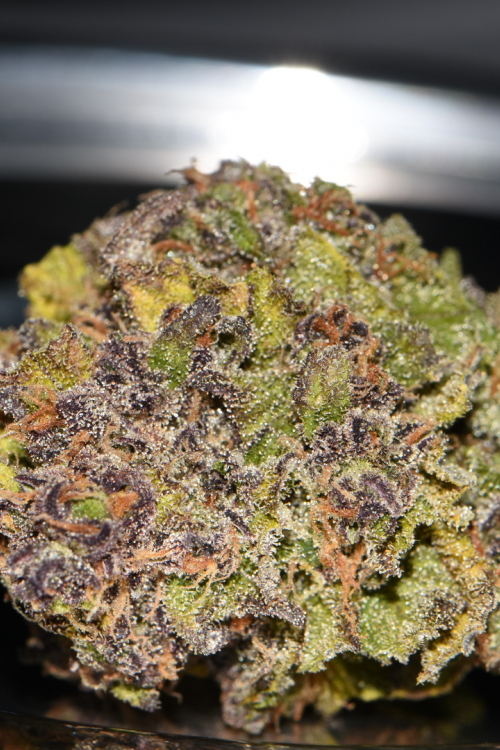Smoothie Auto