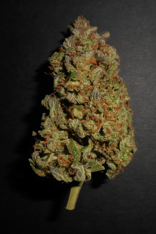 Lemon AK Auto