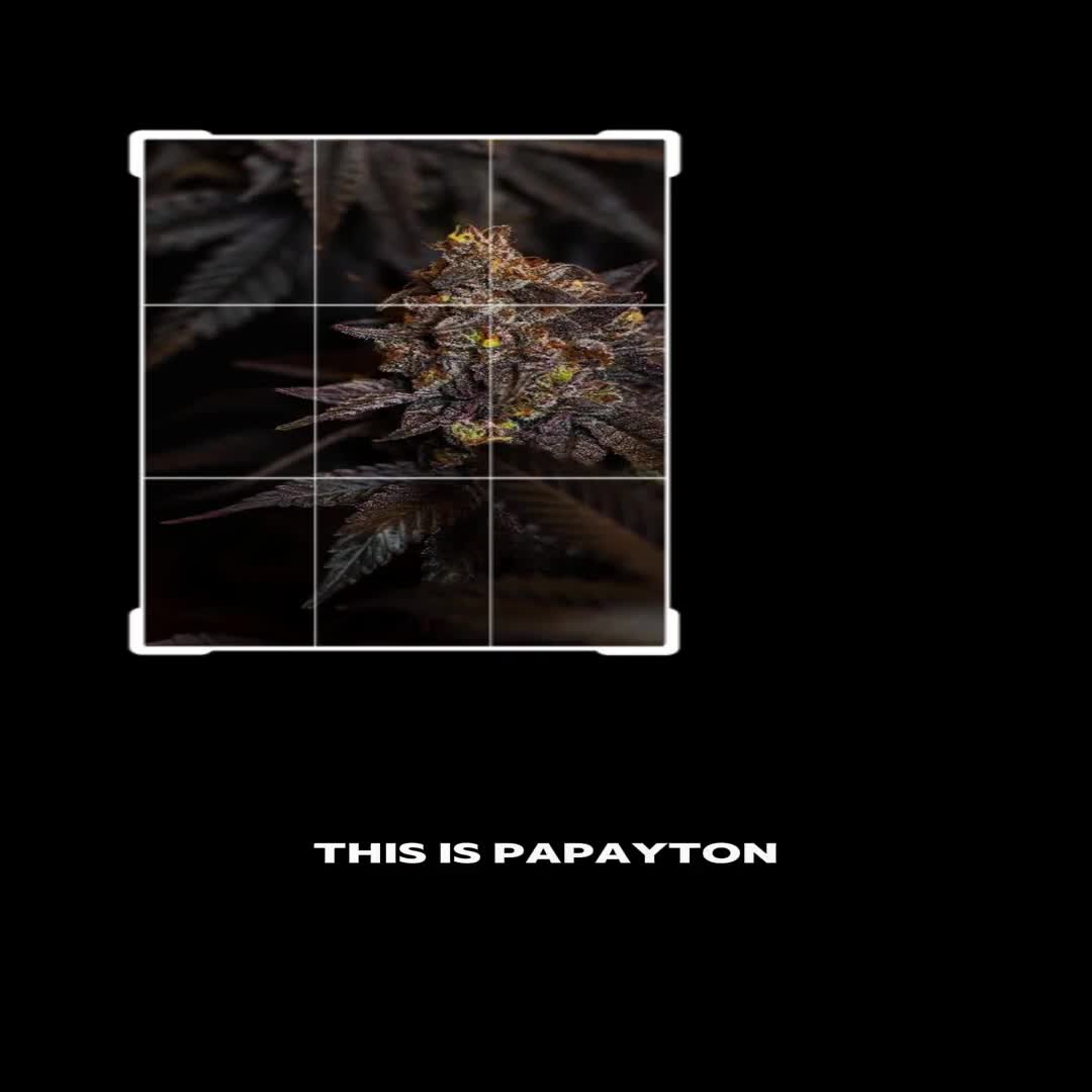 Papayton