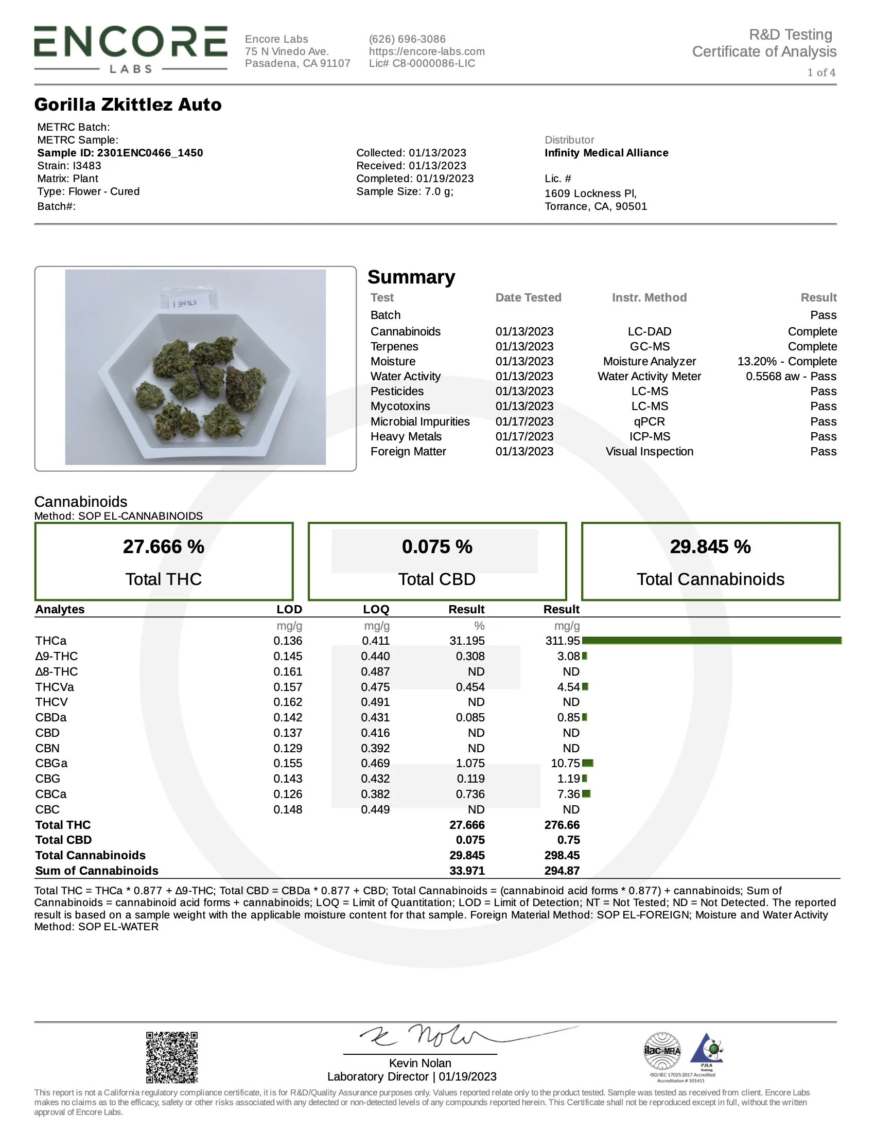 Gorilla Z Auto