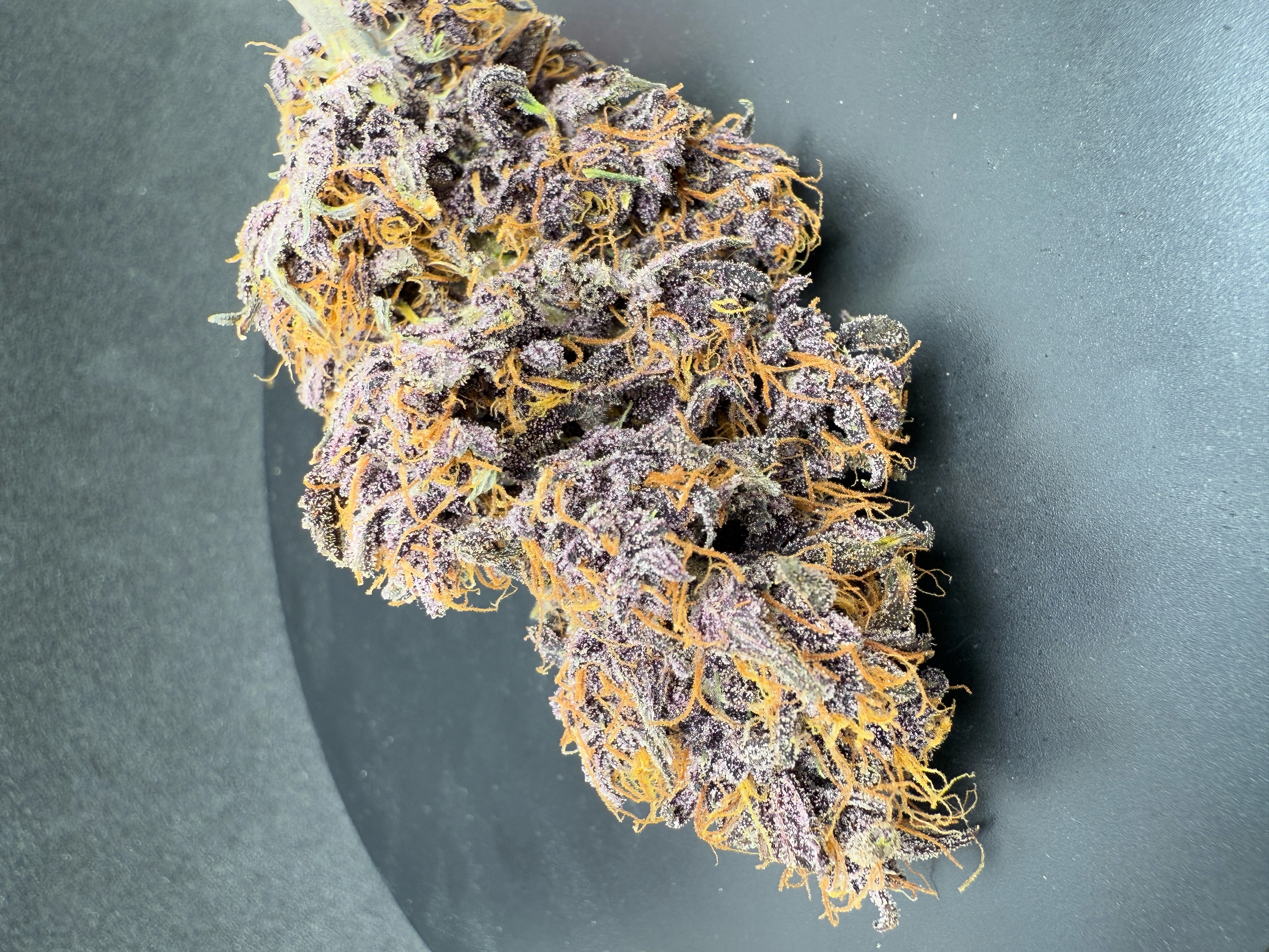 Purple Haze Auto