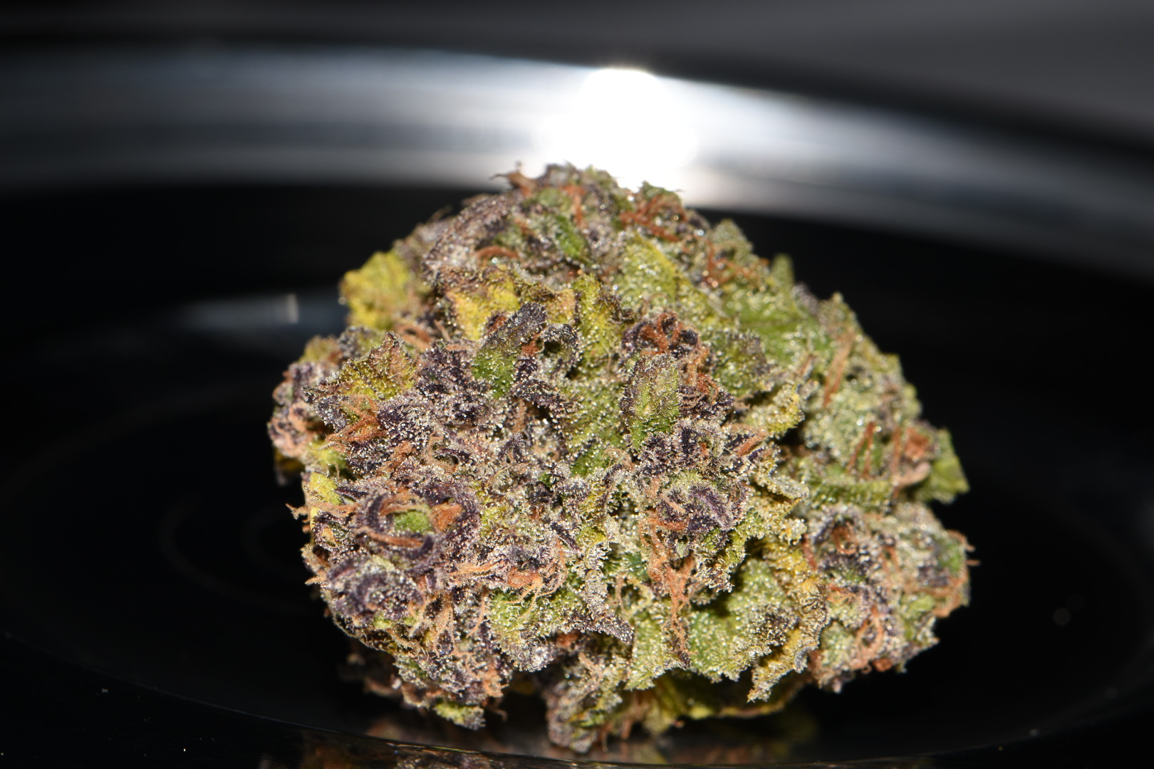 Smoothie Auto