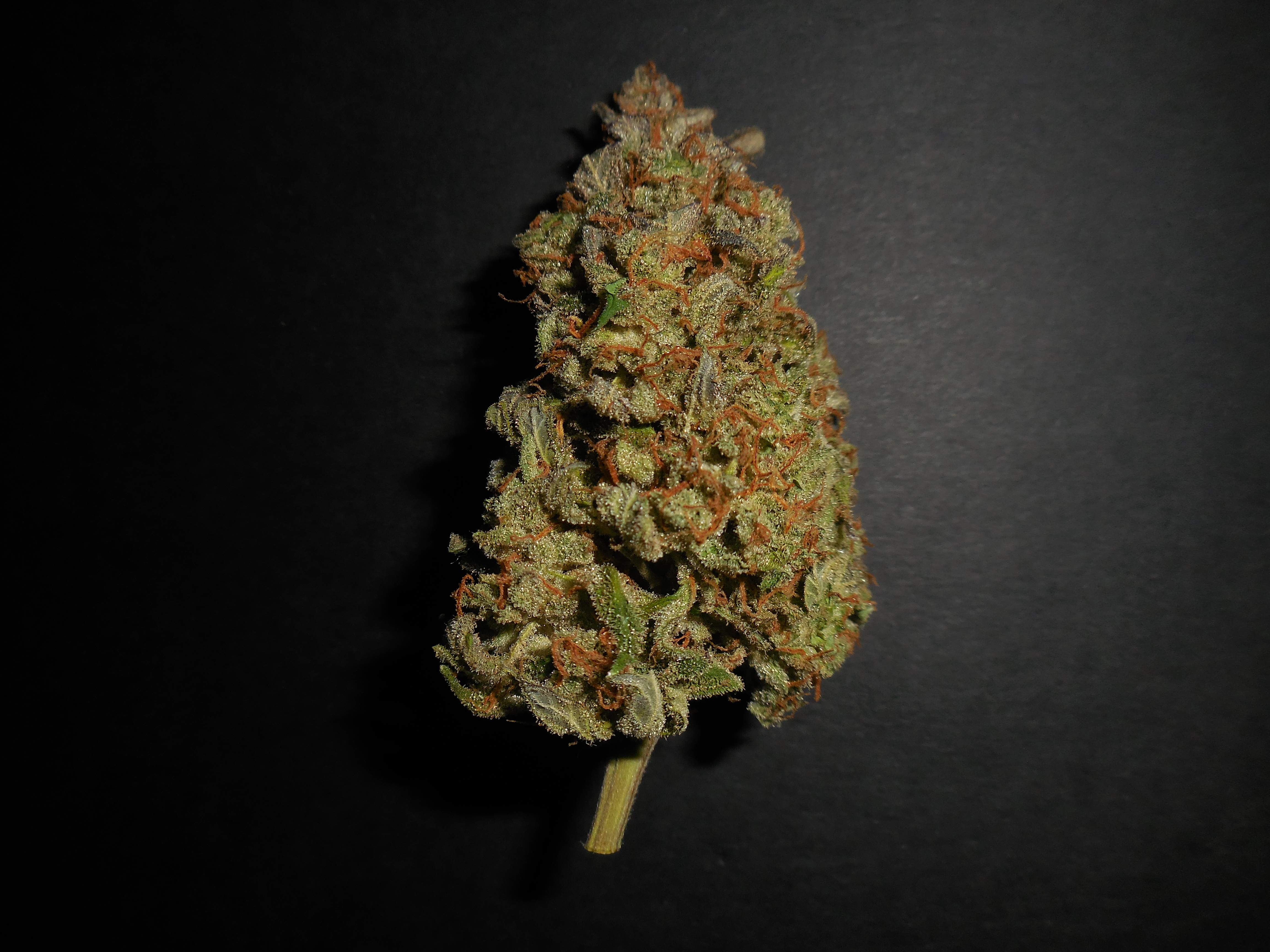 Lemon AK