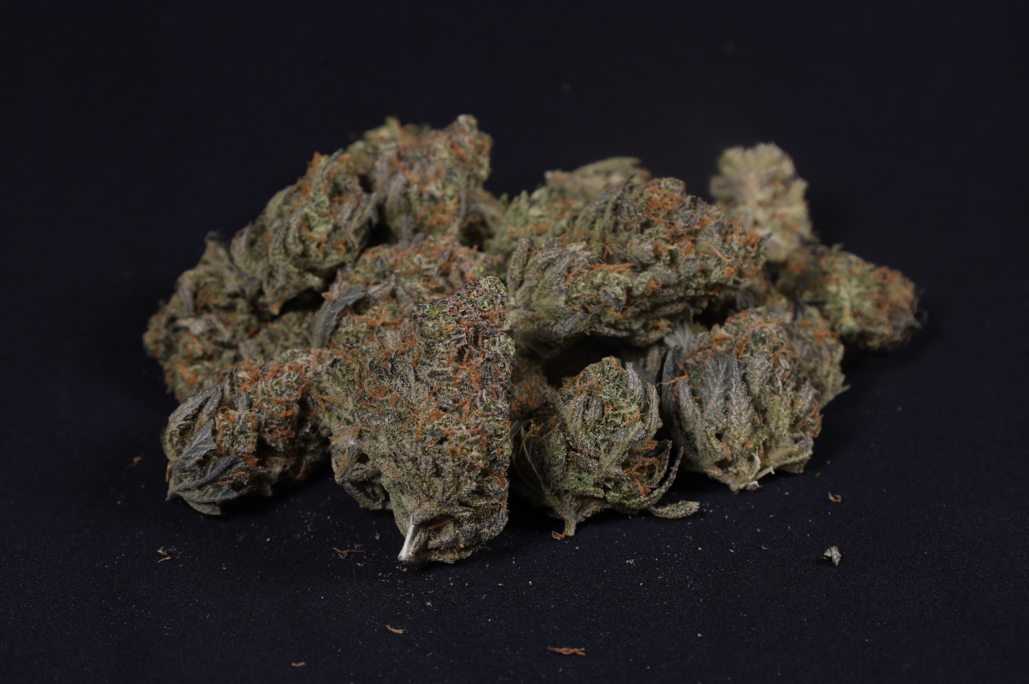 Guava Auto RF3