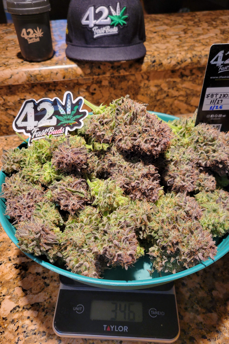 Photo of Ztrawberriez Auto