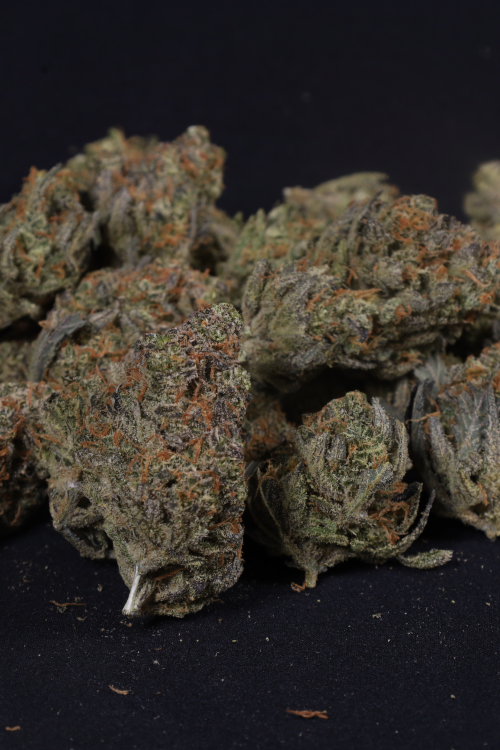 Guava Auto RF3
