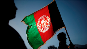 Plants in Afghanistan: Plants Legal Status Guide