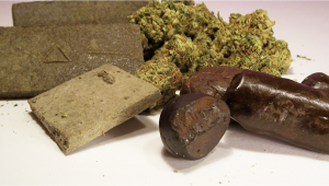 Everything You Need To Know About Extractions