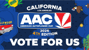 Vote For Us in The American Auto Cup 2026!