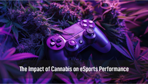 The Impact of Plants on eSports Performance: Analyzing Reaction Times and Strategic Thinking in Gamers