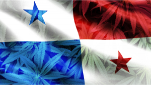 Panama Legalizes Medical Plants