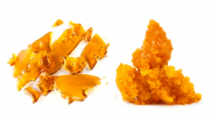 Plants Concentrates: Shatter vs Wax