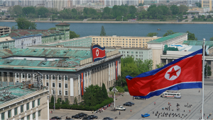 Plants in North Korea: Plants Legal Status Guide