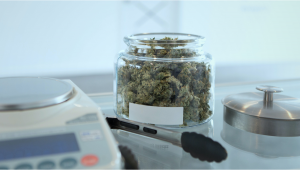 Ounce Of Plants: How Many Grams Is An Ounce Of Plants