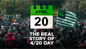 Celebrating 420 The History Behind April 20