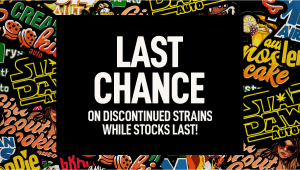 Letzte Chance – verabschiede dich mit Stil!