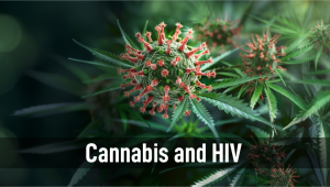 HIV and Plants: A Potential Therapy or a Risky Business?