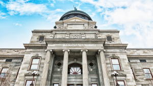 Montana is Slow to Expunge Plants Convictions