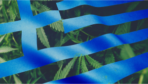 Plants in Greece: Plants Legal Status Guide