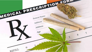 Ireland: Medical Plants Prescriptions Will Now be Paid Directly by Government