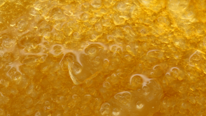 Buds Vs concentrates – What should medical plants users use?