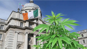 Ireland’s Medical Plants Access Program Sabotaged by Doctors