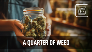 A Quarter of Plants: Understanding Plants Weights and Measurements