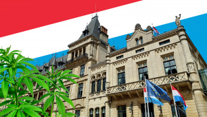 Luxembourg Plans To Be The First Plants Legal Country In Europe