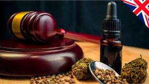 UK Government Proposal Would Effectively Decriminalize Plants