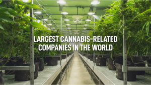 Largest Plants-Related Companies In The World