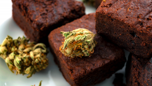 Plants Brownie Recipe & Effect: How Much Plants In One Brownie