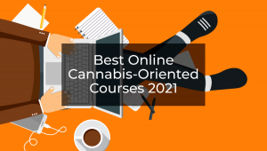 The Best Online Plants-Oriented Courses Of 2022