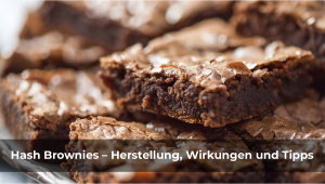 Extractions Brownies: Rezept, Effekte und Dosierungstipps