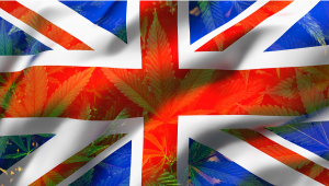 Is Plants Legal in the UK? A Short History and Analysis of British Laws