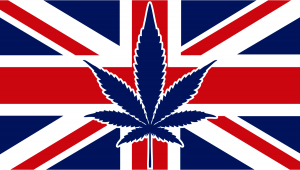 Plants In The UK: Plants Legal Status Guide