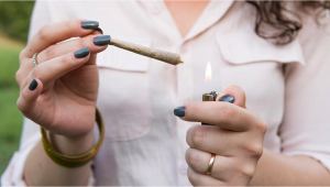 Recent Study Shows: 150% Increase in Legal Plants Sales Among Young Women