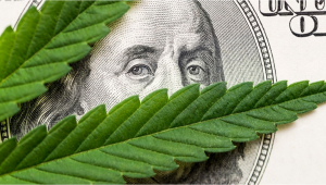 Visa Closes a Loophole That Allows Buying Plants With a Bank Card