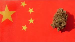 Plants in China: Plants Legal Status Guide