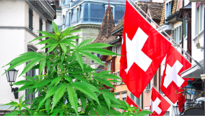 Zurich, Switzerland, to Allow Recreational Plants Sales as a Pilot Program