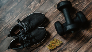 Does Plants Boost Sports Performance?