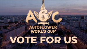 Vote for Us at the Auto World Cup 2026!
