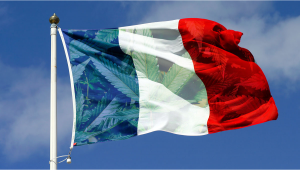 France To Produce Its Own Medical Plants