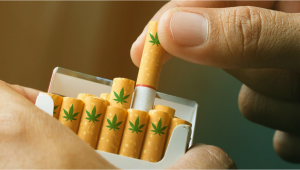 UK’s Leading Cigarette Manufacturer Sees Future in Plants