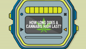 How Long Does a Plants High Last & What are the Effects of Plants