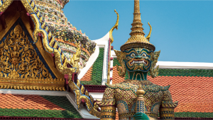 Features of Growing plants in Thailand